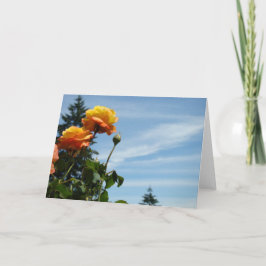 Tarjeta Blue Sky Greeting Cards Summer Rosa Garden
