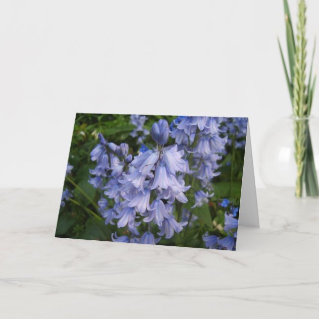 Tarjeta Bluebells (Anverso)