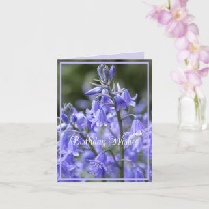 Tarjeta Bluebells de primavera después del cumpleaños de l