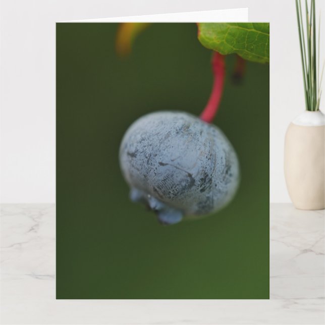 Tarjeta Blueberry (Anverso)