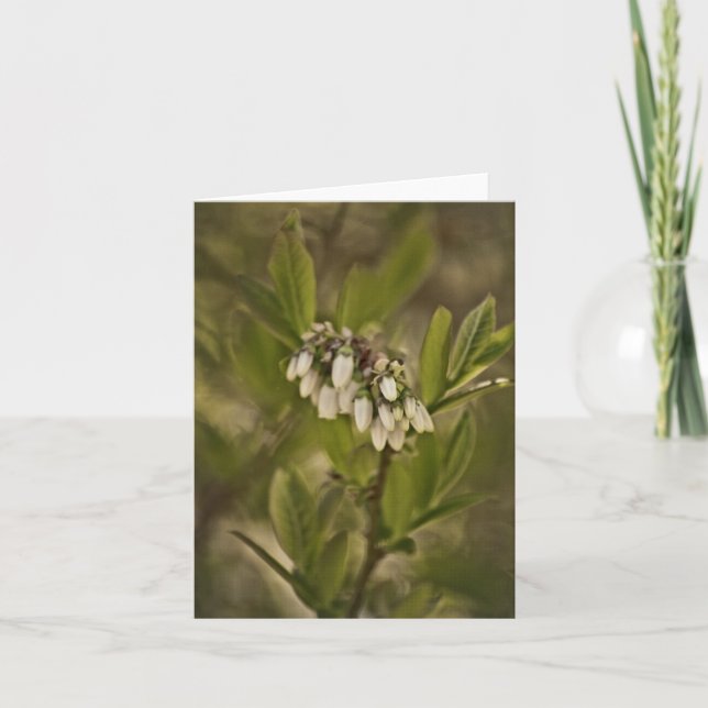 Tarjeta Blueberry 585 (Anverso)