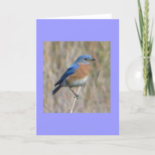 Tarjeta "Bluebird "
