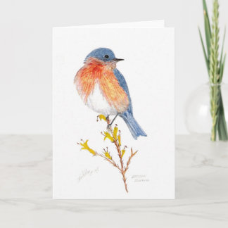 Tarjeta bluebird del este