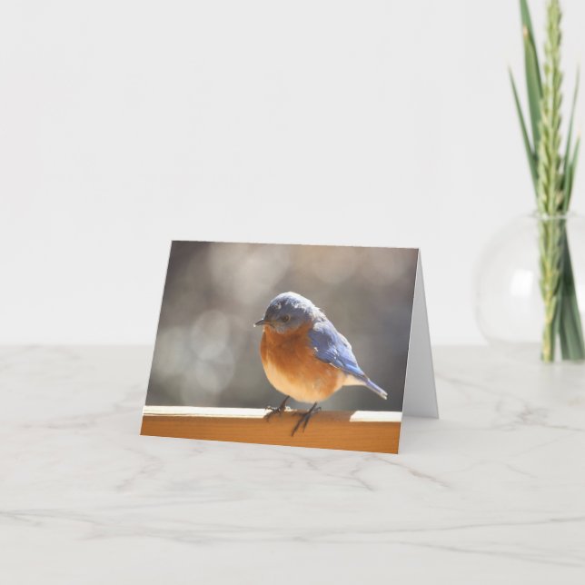 Tarjeta Bluebird Notecard - esconda dentro (Anverso)