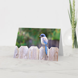 Tarjeta Bluebird On Fence Scripture Card Salm 91:2