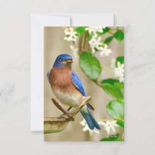 Tarjeta Bluebird Tarjeta de nota natural