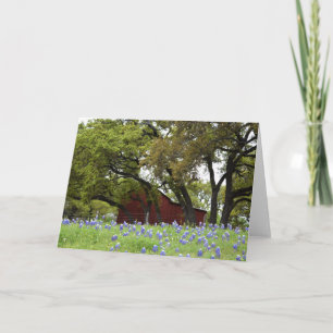 Tarjeta Bluebonnets de la primavera en Johnson City, Tejas