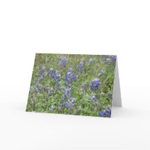 Bluebonnets de Tejas