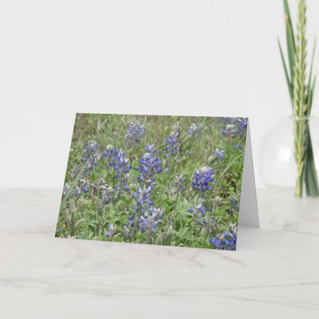 Tarjeta Bluebonnets de Tejas (Anverso)