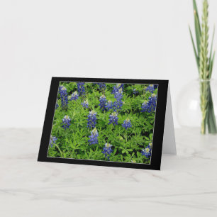 Tarjeta "Bluebonnets de Tejas "