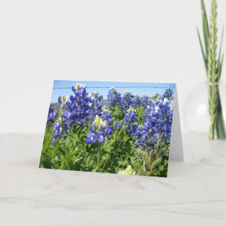 Tarjeta Bluebonnets Notecard