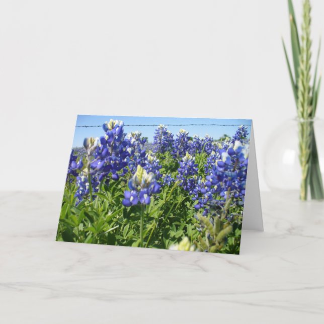 Tarjeta Bluebonnets Notecard (Anverso)