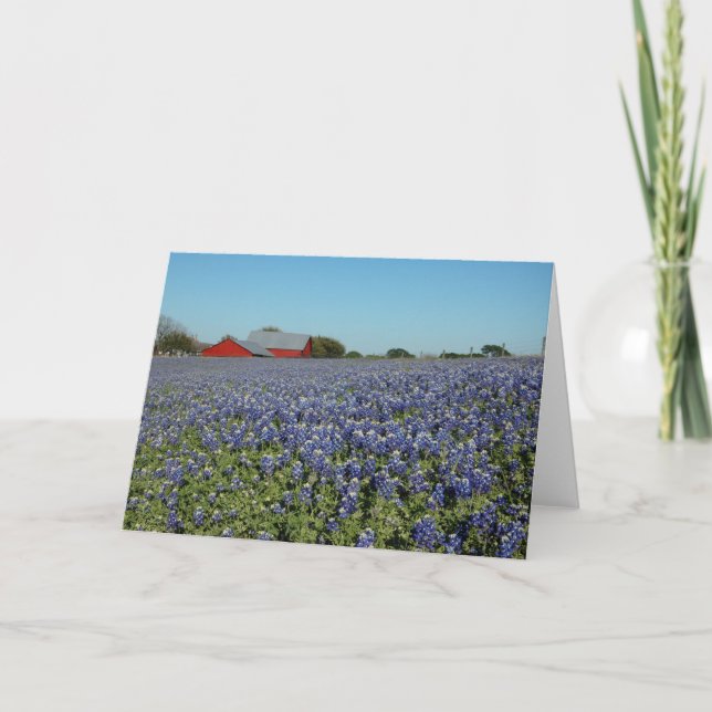 Tarjeta Bluebonnets y Barn (Anverso)
