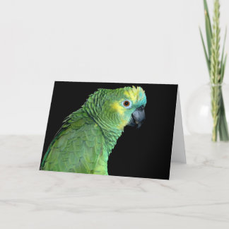 Tarjeta Bluefront Amazon Parrot Notecard
