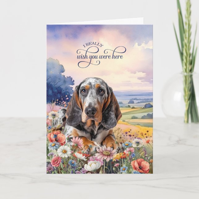 Tarjeta Bluetick Coonhound Dog Wildflowers Miss You (Anverso)