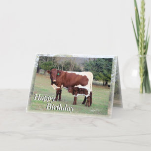 Tarjeta Bnelane-Z61, Bon&Bel7896-Z, Feliz, Cumpleaños, H..