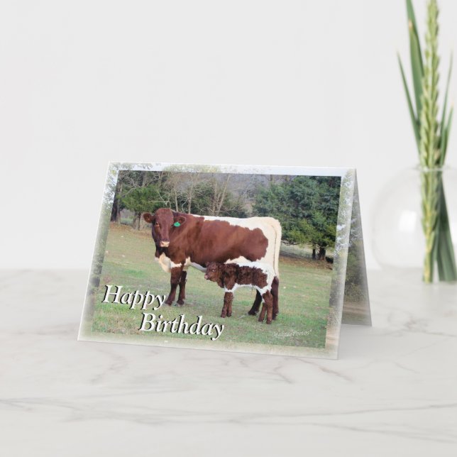 Tarjeta Bnelane-Z61, Bon&Bel7896-Z, Feliz, Cumpleaños, H.. (Anverso)