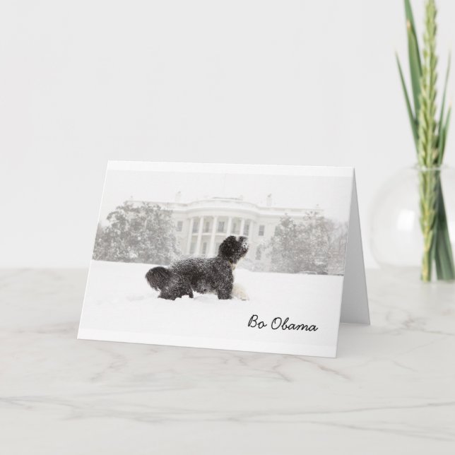 Tarjeta Bo Obama en la nieve (Anverso)