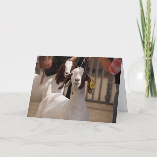 Tarjeta Boar Goat Show (Anverso)