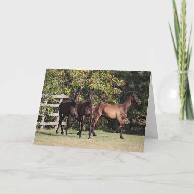 Tarjeta Bob Langrish | 3 Andalucian Youngsters Standing (Anverso)