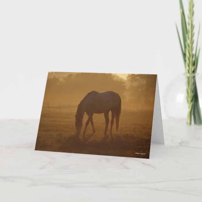 Tarjeta Bob Langrish | Amanecer de caza de caballos (Anverso)