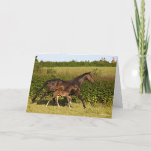 Tarjeta Bob Langrish   Amarilla de sangre y pie de abono