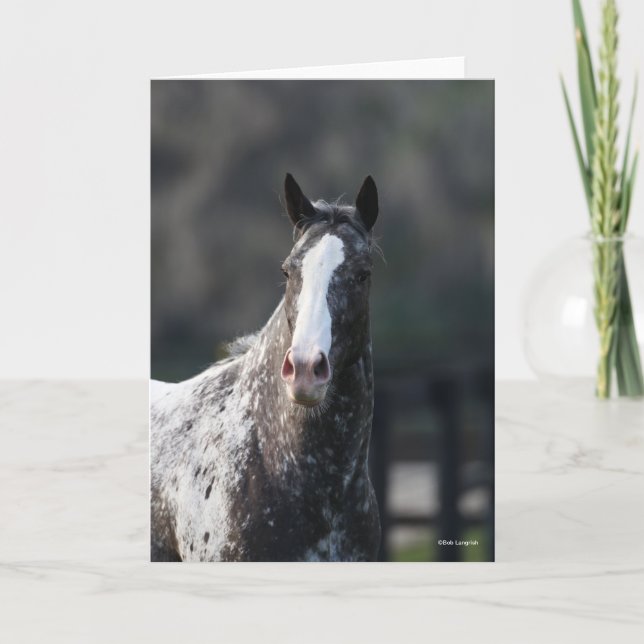 Tarjeta Bob Langrish | Apaloosa Headshot (Anverso)