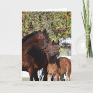 Tarjeta Bob Langrish   Arab Mare and Foal Standing