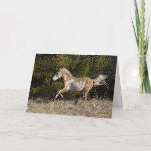 Tarjeta Bob Langrish   Bashkir Curly Stallion Running