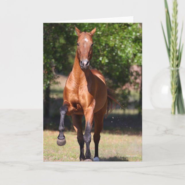 Tarjeta Bob Langrish | Bay Akhal Teke Standing (Anverso)