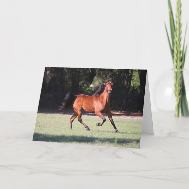 Tarjeta Bob Langrish | Bay Tennessee Walker Running (Anverso)