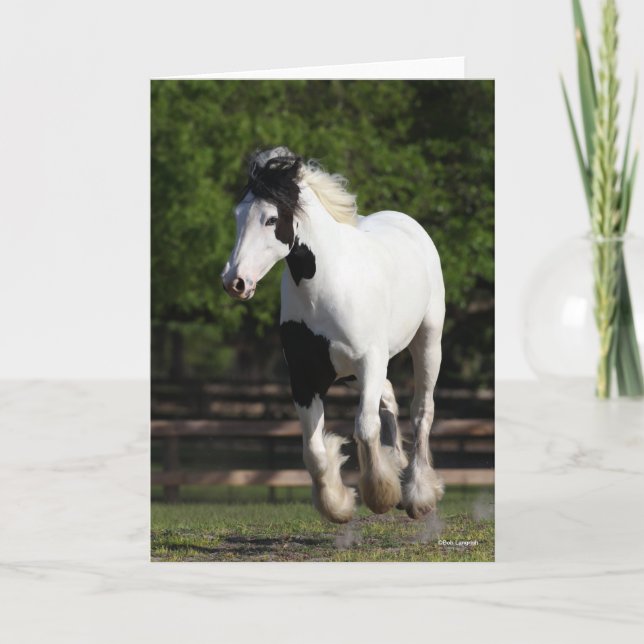 Tarjeta Bob Langrish Black and White Gypsy Vanner Running (Anverso)