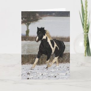 Tarjeta Bob Langrish Black and White Welsh Cob en la nieve