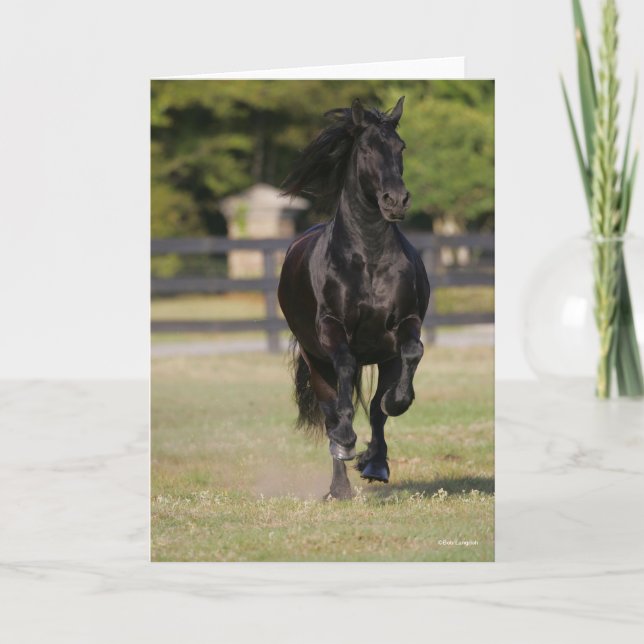 Tarjeta Bob Langrish | Black Friesian Horse Running (Anverso)