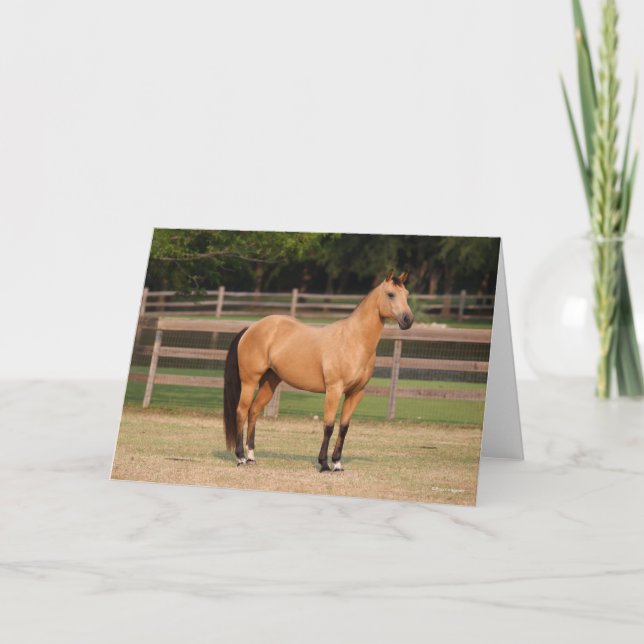 Tarjeta Bob Langrish | Buckskin Quarter Horse Standing (Anverso)