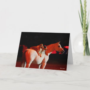 Tarjeta Bob Langrish   Caballo árabe de pie con perros