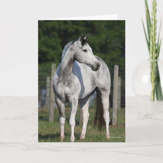 Tarjeta Bob Langrish | Caballo De Barrio Gris De Arce (Anverso)