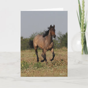 Tarjeta Bob Langrish   Caballo De Trimestre En Flores