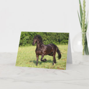Tarjeta Bob Langrish   Caballo frisón negro corriendo