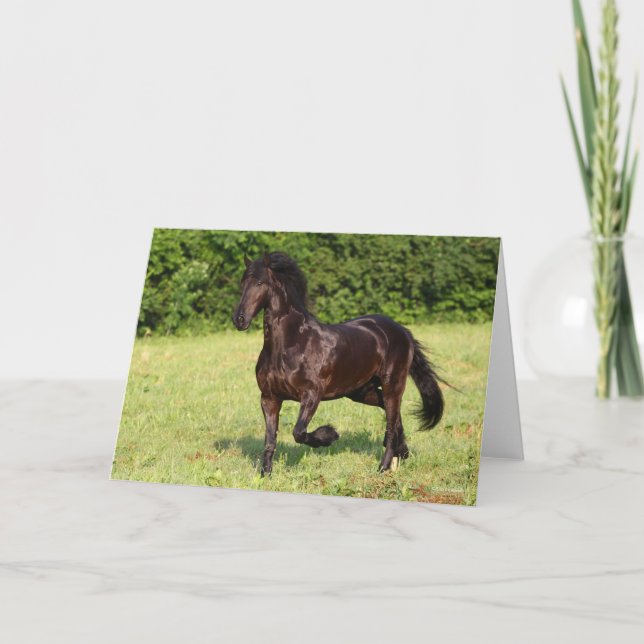 Tarjeta Bob Langrish | Caballo frisón negro corriendo (Anverso)