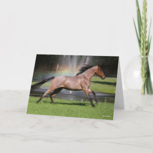 Tarjeta Bob Langrish   Caballo Mangalarga Corriendo Arcoir