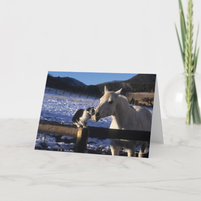 Tarjeta Bob Langrish | Caballo y gato en la nieve (Anverso)