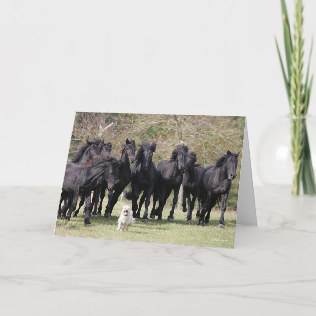 Tarjeta Bob Langrish | Caballos y perros de raza negra (Anverso)