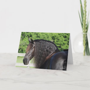 Tarjeta Bob Langrish   Cabecera frisona en pie de caballo