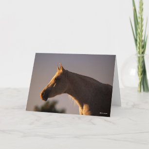 Tarjeta Bob Langrish   Cabecera retroiluminada gris árabe