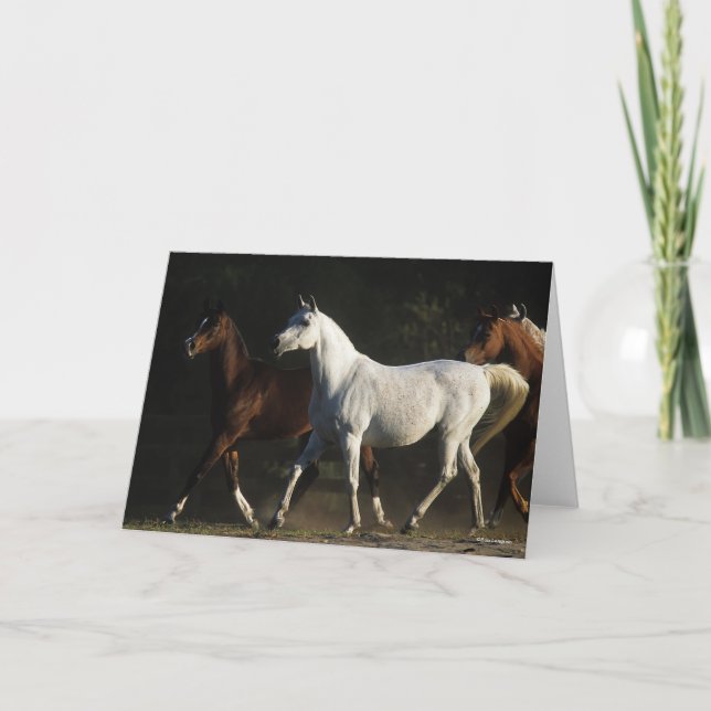 Tarjeta Bob Langrish | Caminata de Mares Árabes (Anverso)