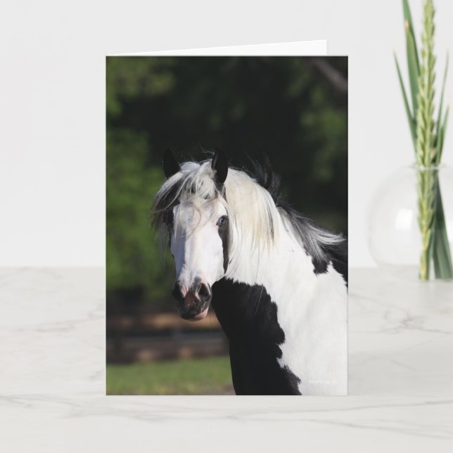 Tarjeta Bob Langrish | Captura de cabeza de caballo de Gyp (Anverso)