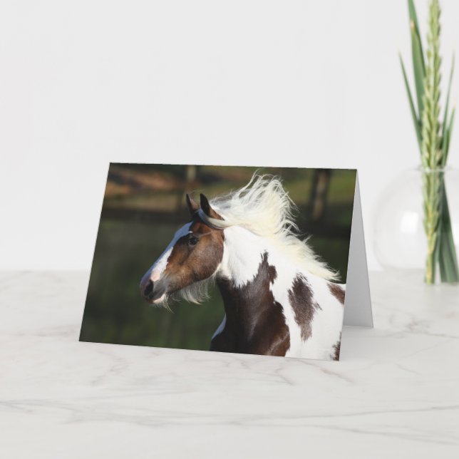Tarjeta Bob Langrish | Captura de cabeza de caballo de tam (Anverso)