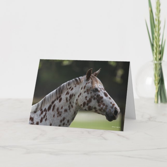 Tarjeta Bob Langrish | Captura de cabeza de Spotty Appaloo (Anverso)