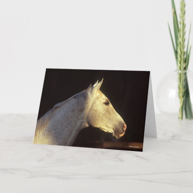 Tarjeta Bob Langrish | Captura de cabeza de Stallion cruda (Anverso)